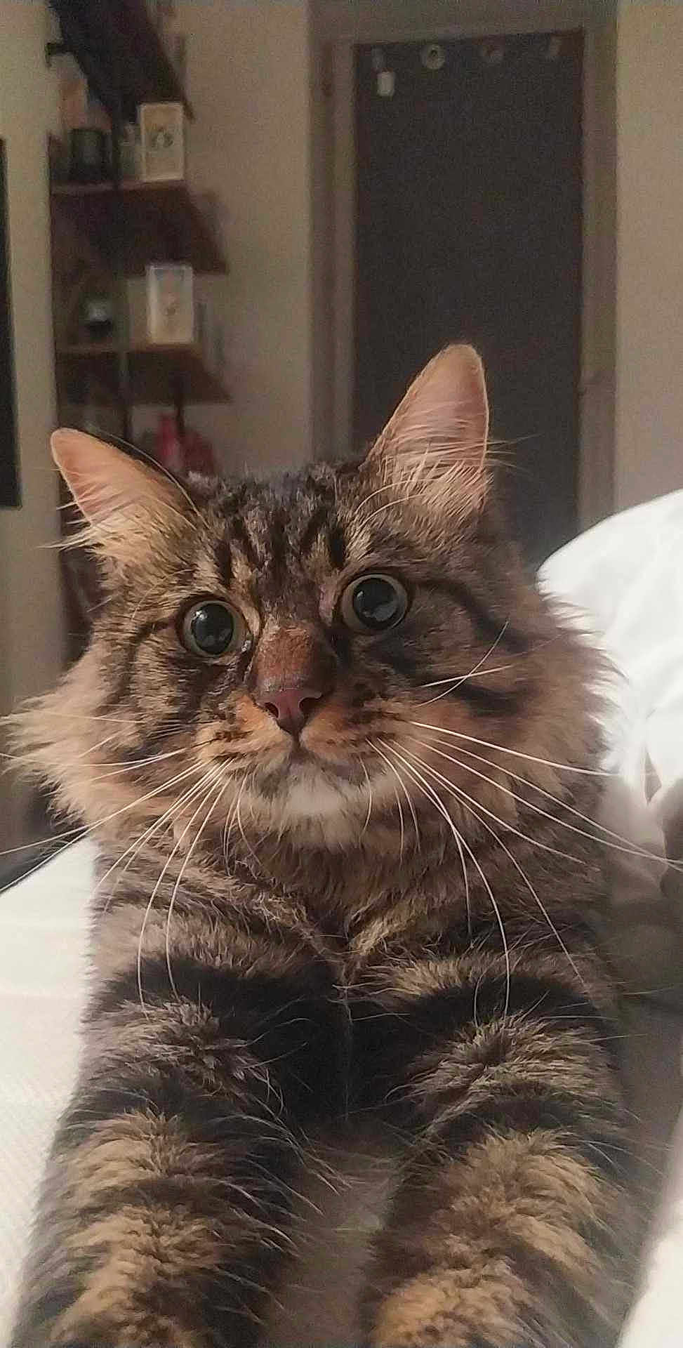 Billy