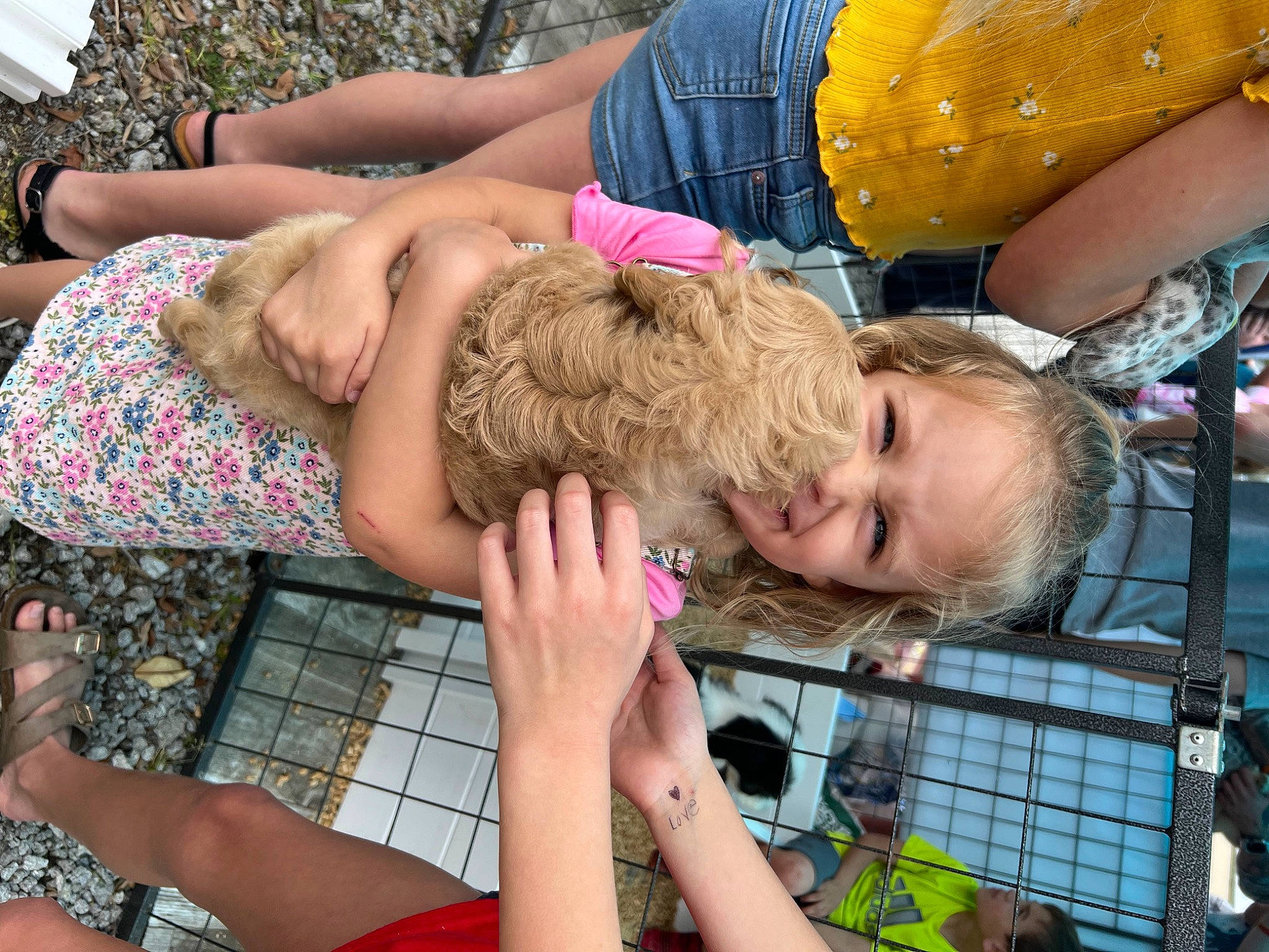 Tinsley is registered to the contest to win money with this photo: arm, barefoot, event, flesh, fun, grass, green, happy, human_leg, joy, leisure, pattern, person, recreation, shorts, sitting, summer, thigh, vacation, wrist