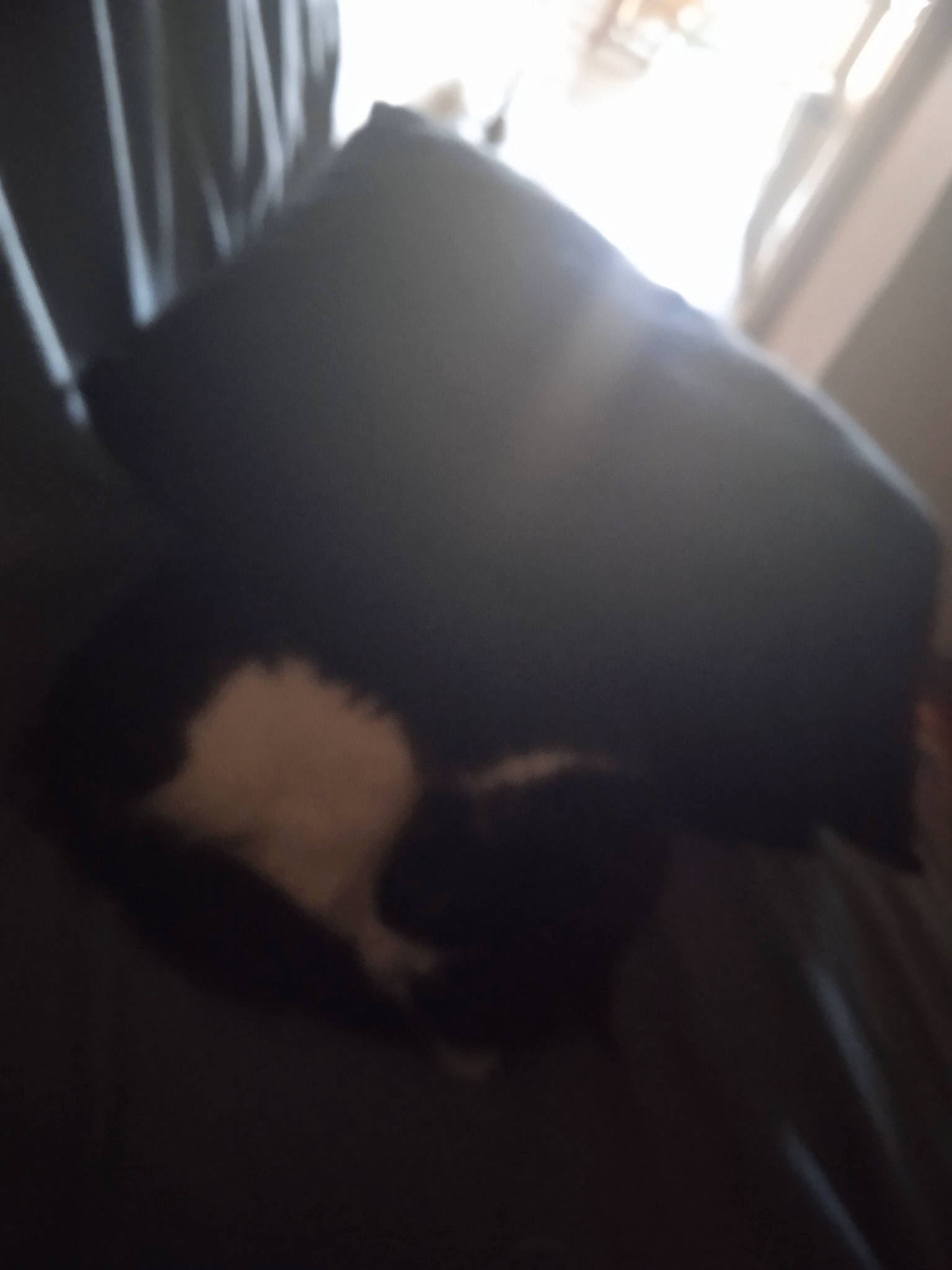 Mistik participe au concours pour gagner de l'argent avec cette photo : automotive_exterior, cloud, cumulus, darkness, flooring, foot, fur, gesture, human_leg, nail, paper, shadow, sky, tail, thigh, thumb, tints_and_shades, transparent_material, wing, wrist