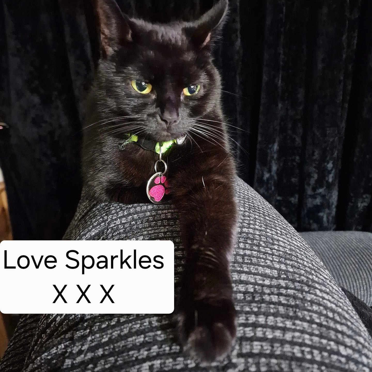 Sparkle'S