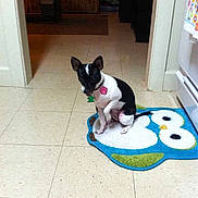 Zoie Marie Sleet is registered to the contest to win money with this photo: