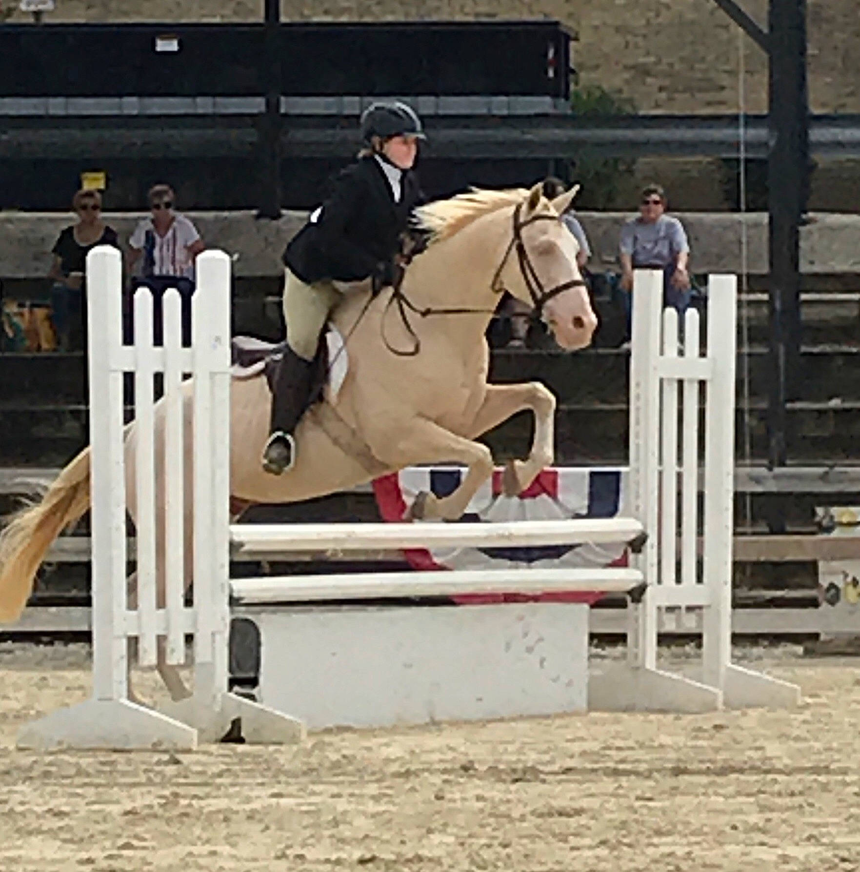 Handy joined the competition — help win amazing prizes! animal_sports, bridle, cross_country_equestrianism, dressage, english_riding, equestrian, equestrianism, equitation, eventing, halter, horse, horse_supplies, horse_tack, hunt_seat, jumping, mammal, rein, saddle, show_jumping