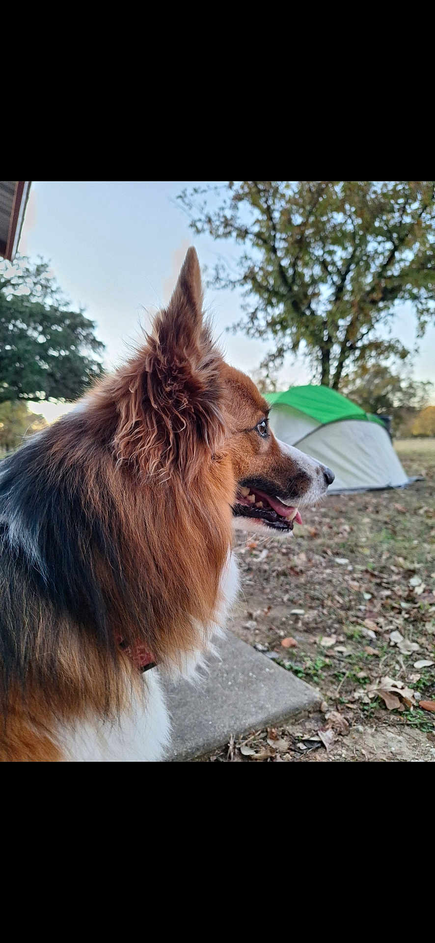 Morty