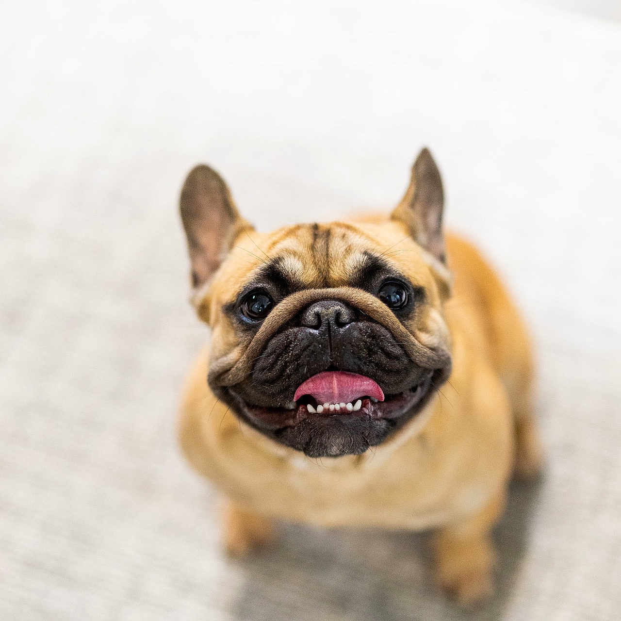 Winnie