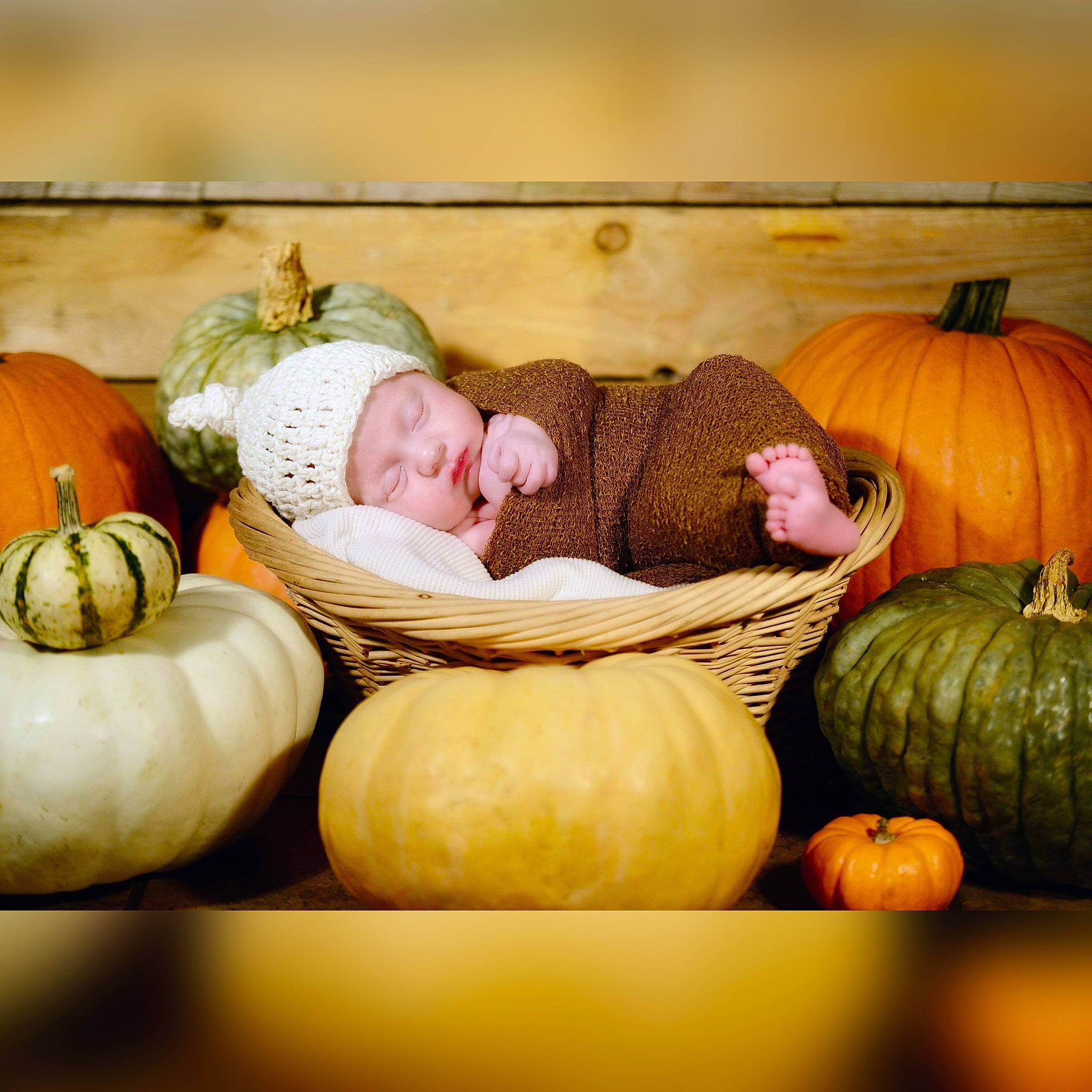 Sylis joined the competition — help win amazing prizes! art, baby, baby_toddler_clothing, calabaza, comfort, cucurbita, facial_expression, fruit, gourd, headwear, local_food, natural_foods, orange, people, person, plant, pumpkin, squash, toddler, vegetable