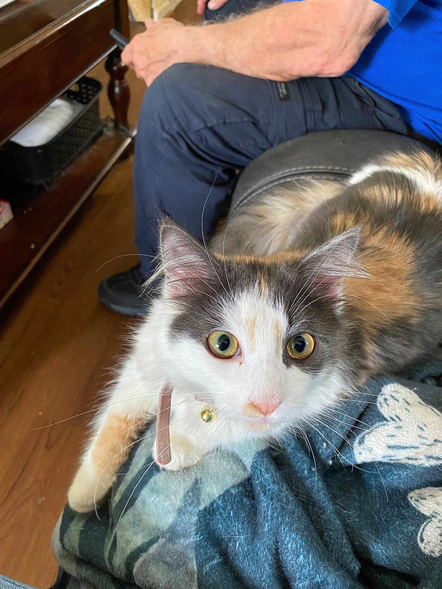 Bella