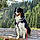 Lalie