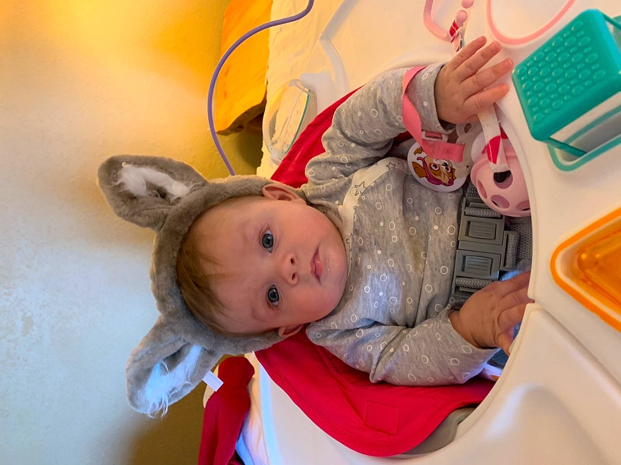 Zena joined the competition — help win amazing prizes! baby, bedtime, child, ear, fun, headwear, joy, person, play, skin, toddler