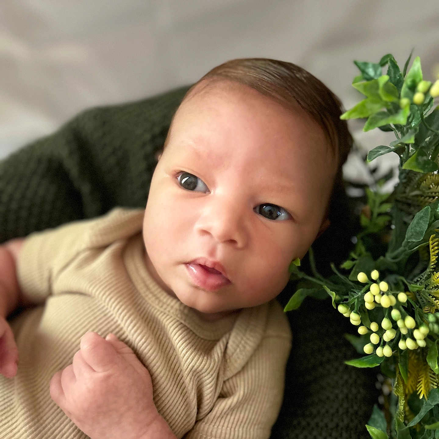Azriel is registered to the contest to win money with this photo: baby, bodypart, couch, face, finger, flower, flowerarrangement, flowerbouquet, hand, happy, head, herbal, herbs, leaf, newborn, person, photography, plant, portrait, smile