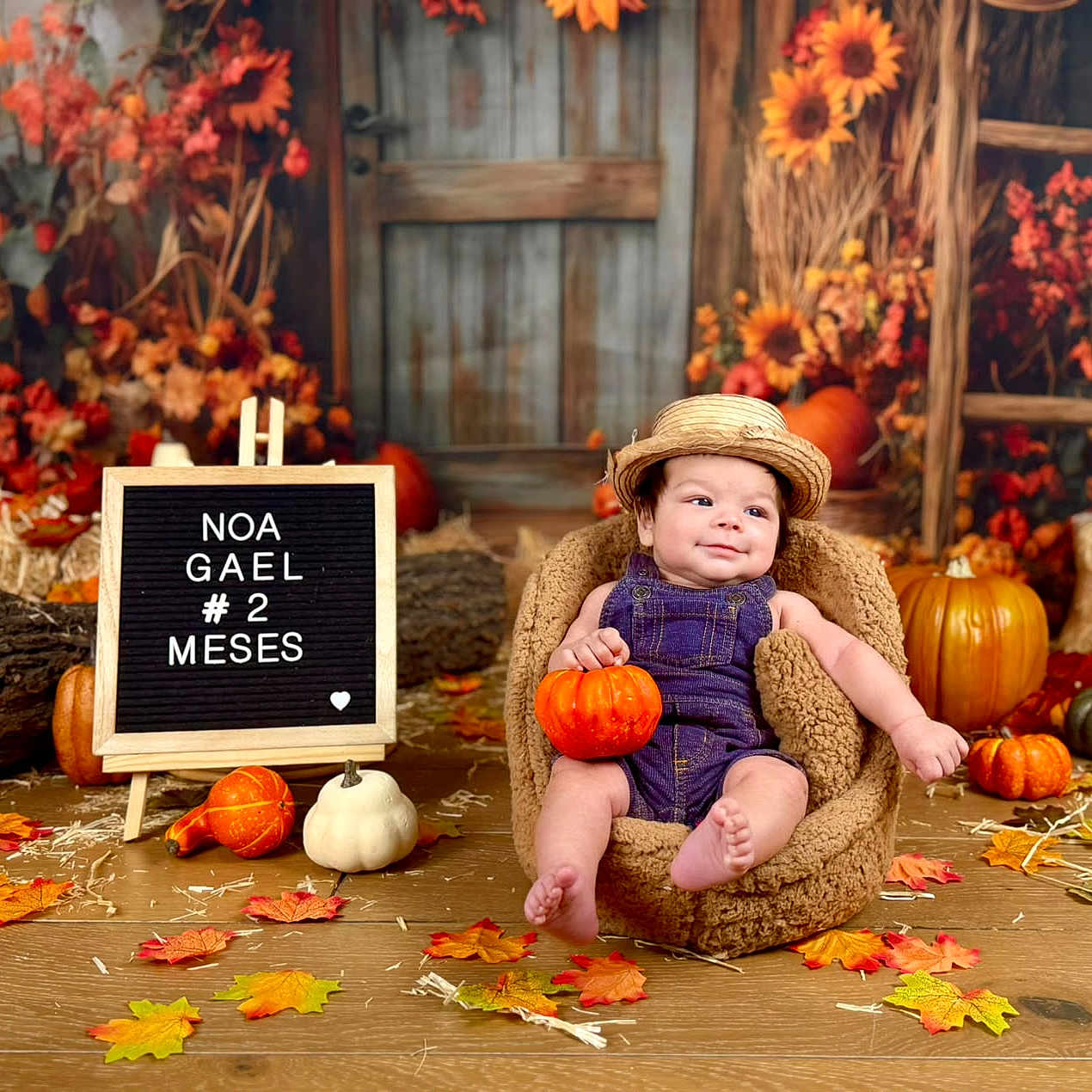 Noa