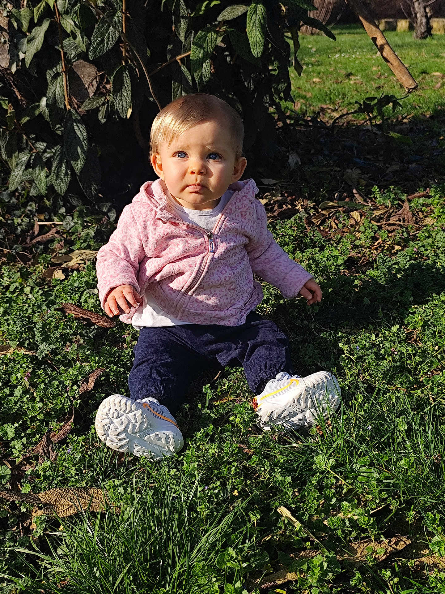 Chelsea participe au concours pour gagner de l'argent avec cette photo : baby, toddler, child, sitting, outdoor, grass, greenery, sunlight, pink_jacket, hoodie, sneakers, shoes, blue_eyes, leaves, park, portrait, curious_expression, ground, shadow, casual_clothing