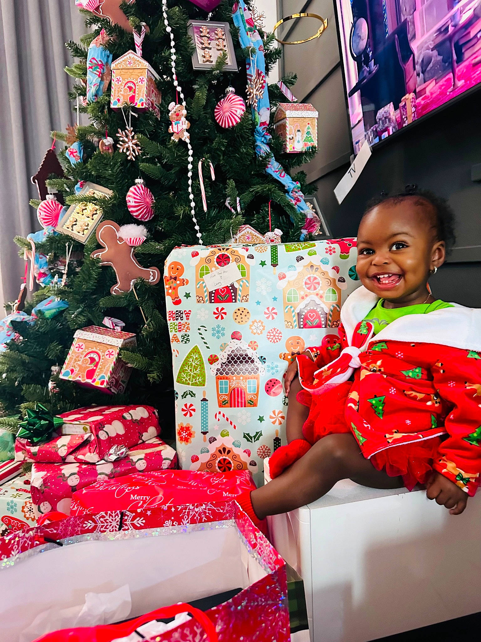 Nala joined the competition — help win amazing prizes! christmas, christmas_decoration, christmas_eve, christmas_ornament, christmas_tree, conifer, decoration, event, gift_wrapping, green, happy, holiday, holiday_ornament, joy, lap, ornament, person, present, red, smile