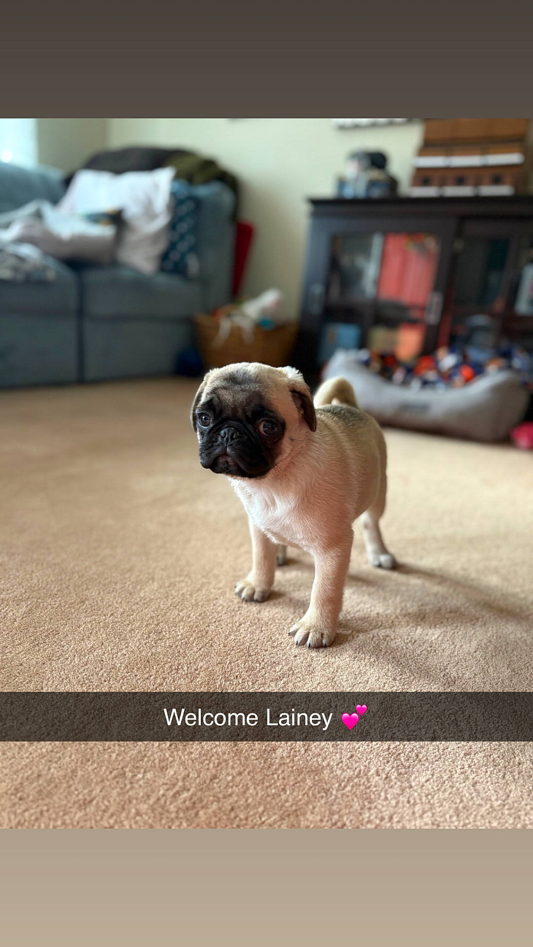 Lainey