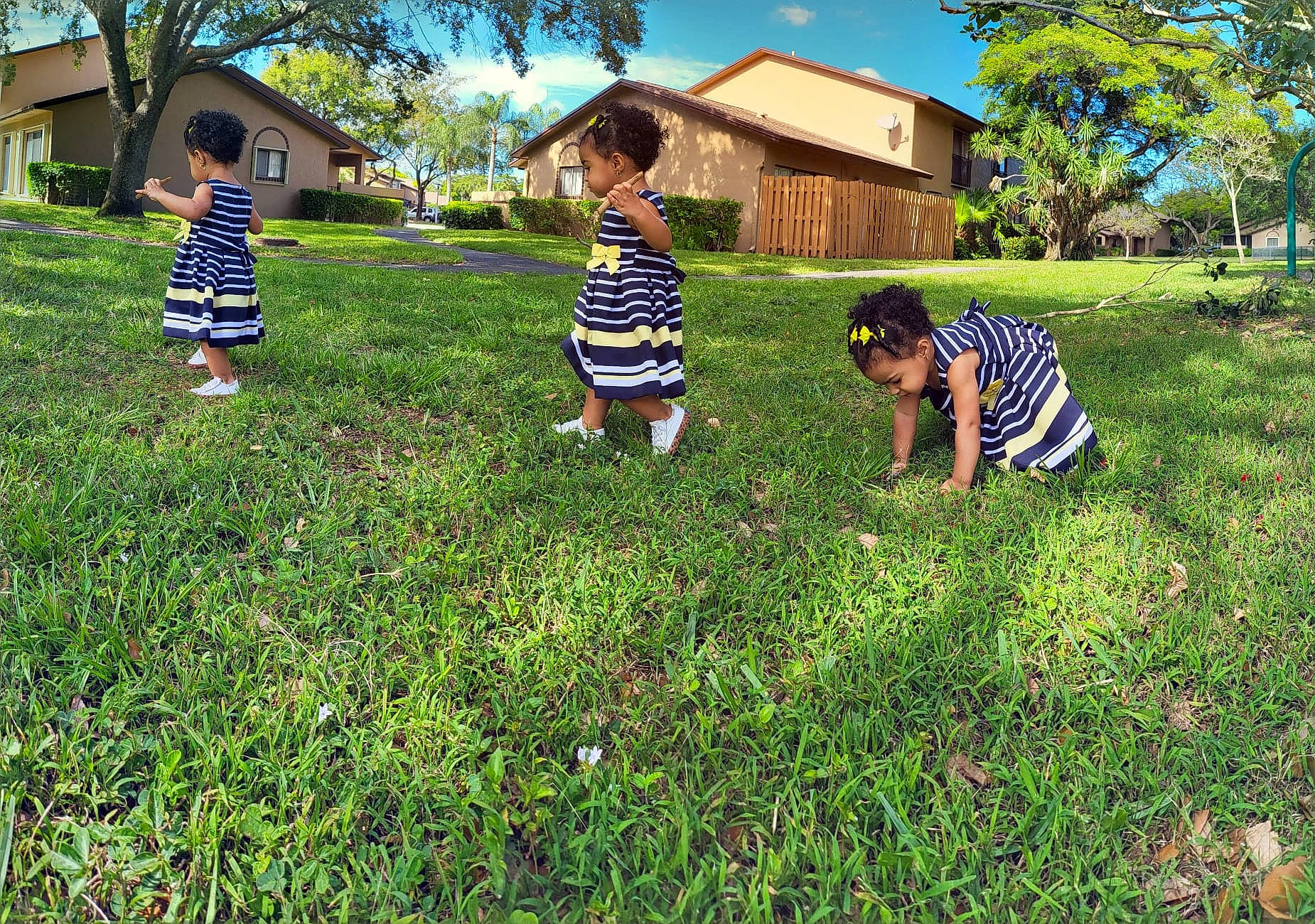 Nalani joined the competition — help win amazing prizes! fun, grass, grass_family, grassland, groundcover, hat, house, land_lot, landscape, lawn, leisure, meadow, people_in_nature, person, plant, prairie, sky, t_shirt, toddler, tree