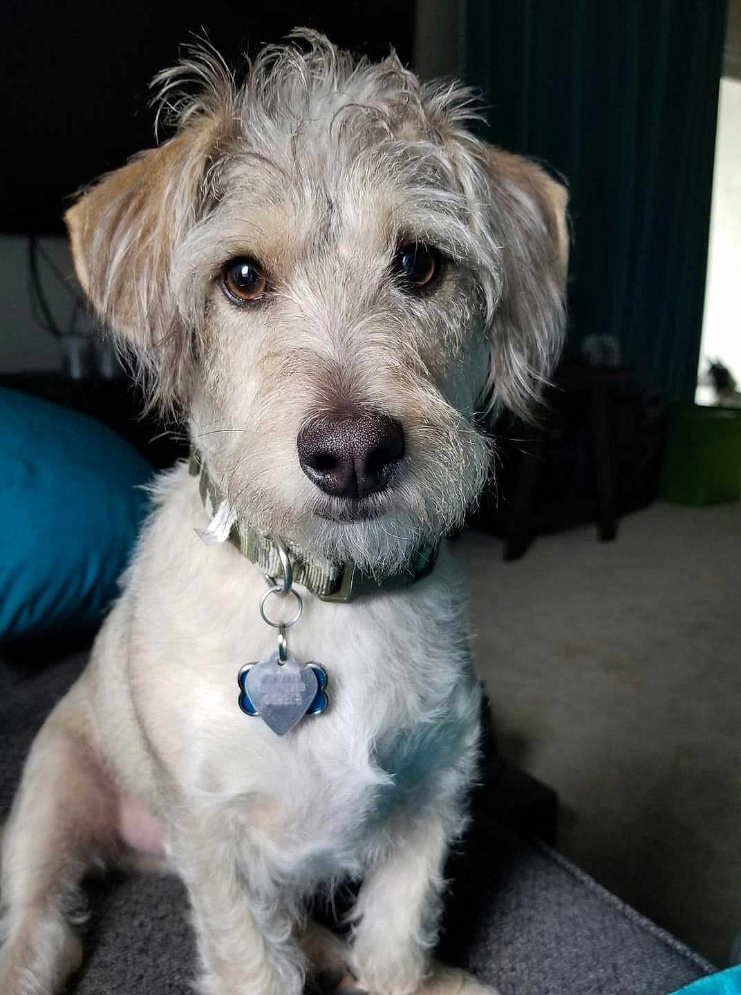 Winston