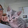 blue_eyes, cat, ceiling, chandelier, closeup, cozy, curious, face, furniture, glasses, gray_tabby, hand, home, indoor, kitten, painting, person, pet, portrait, wall