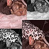 Barbie joined the competition — help win amazing prizes! dog, sleeping, blanket, leopard_print, pillow, collage, pet, cozy, nap, fur, closeup, indoor, animal, resting, cute, portrait, four_panel, soft_texture, relaxed, home