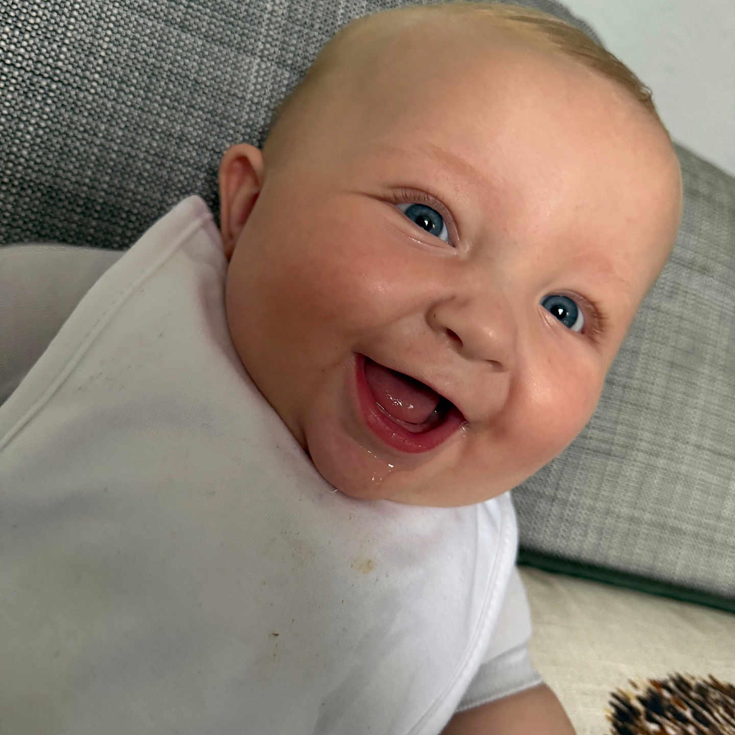 Colby-Reece is registered to the contest to win money with this photo: arm, baby, bib, blue_eyes, child, close_up, couch, cute, drool, fabric, face, happy, indoor, infant, person, portrait, skin, smile, texture, young
