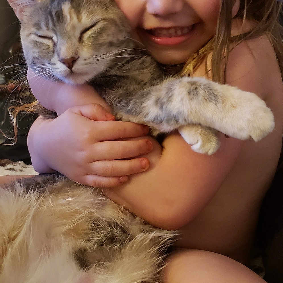 Joslynn is registered to the contest to win money with this photo: american_shorthair, asian, australian_mist, carnivore, cat, child, claw, european_shorthair, fawn, felidae, fur, joy, kitten, mammal, paw, person, pixie_bob, singapura, skin, small_to_medium_sized_cats