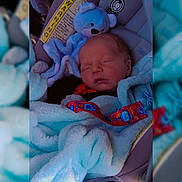 Stetson joined the competition — help win amazing prizes! newborn, baby, sleeping, blue_blanket, car_seat, teddy_bear, child, infant, soft_toy, cozy, cute, resting, bundle, seatbelt, indoors, portrait, peaceful, adorable, child_safety, comfort