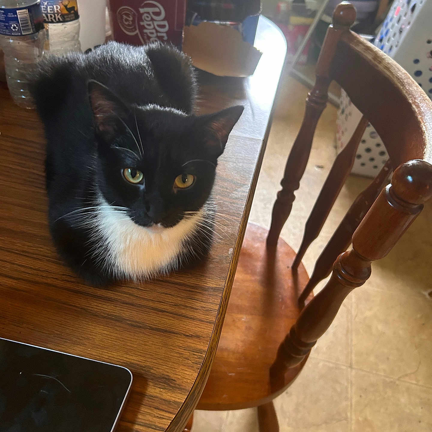Mittens