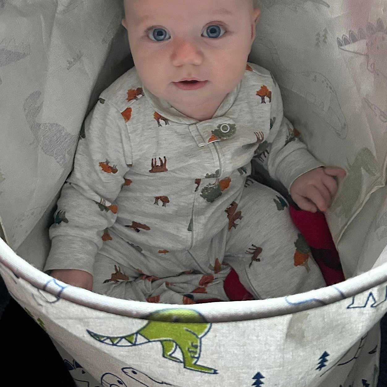 Hayden is registered to the contest to win money with this photo: baby, basket, bed, clothing, cradle, crib, dress, face, furniture, happy, head, homedecor, infantbed, newborn, pants, person, photography, portrait, t_shirt, toy