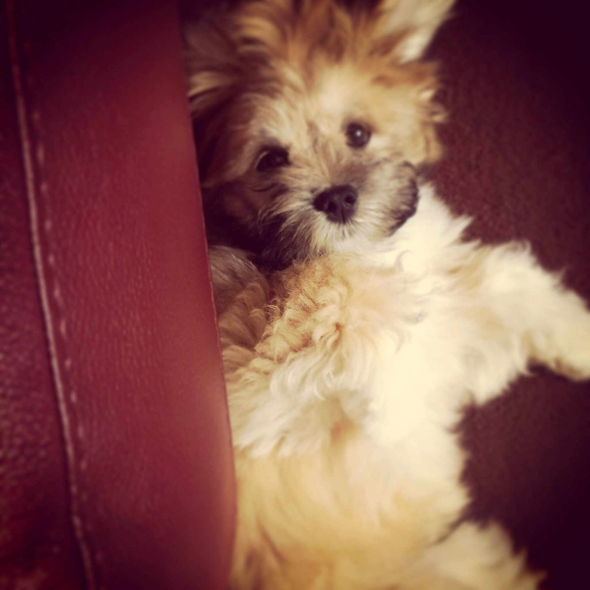 Mutley Saunders is registered to the contest to win money with this photo: