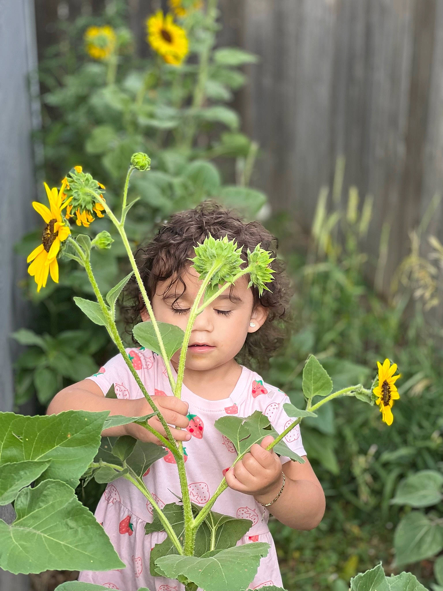 Yuliana is registered to the contest to win money with this photo: annual_plant, botany, eye, floral_design, floristry, flower, flower_arranging, flowering_plant, grass, happy, head, herbaceous_plant, leaf, meadow, people_in_nature, person, petal, plant, summer, terrestrial_plant