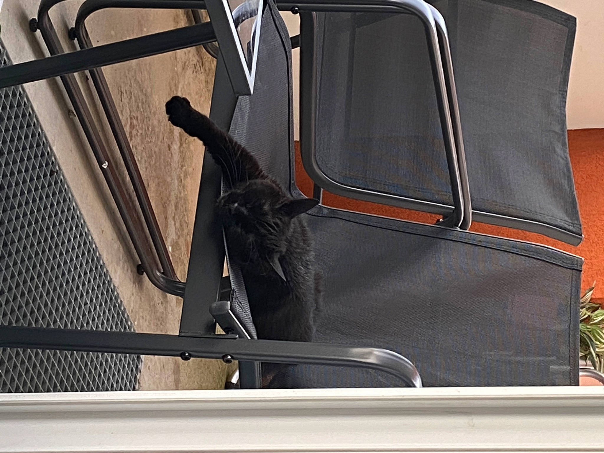 Arya participe au concours pour gagner de l'argent avec cette photo : auto_part, automotive_design, automotive_exterior, automotive_lighting, automotive_mirror, automotive_window_part, flowerpot, gas, glass, hood, houseplant, metal, motor_vehicle, plant, tints_and_shades, vehicle, vehicle_door, window, windscreen_wiper, windshield