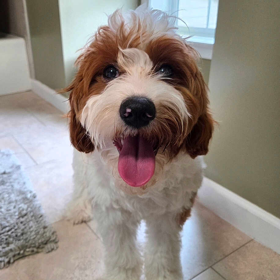 Milo