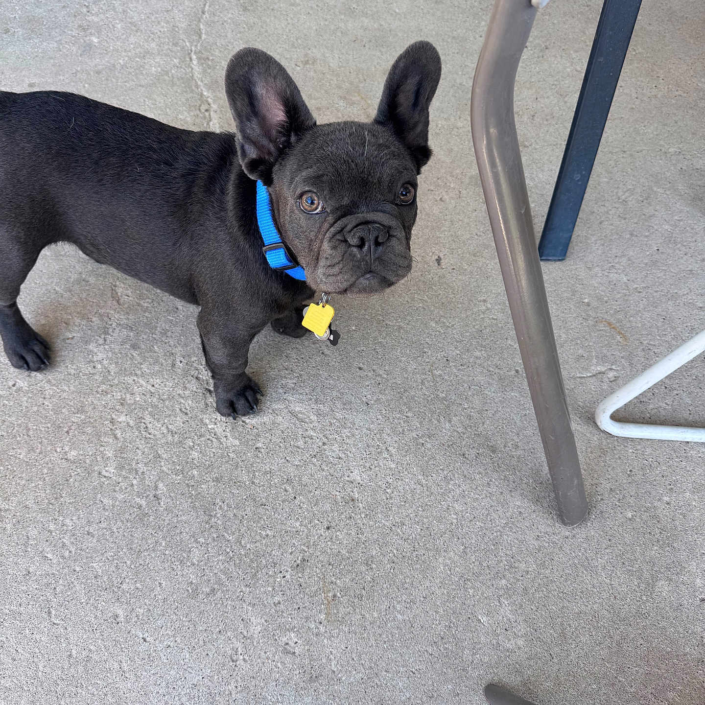 Yoda
