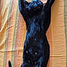 black_cat, cat, stretching, feline, pet, indoor, couch, striped, orange, green, relaxed, paw, tail, fur, animal, mammal, domestic_animal, resting, cute, playful