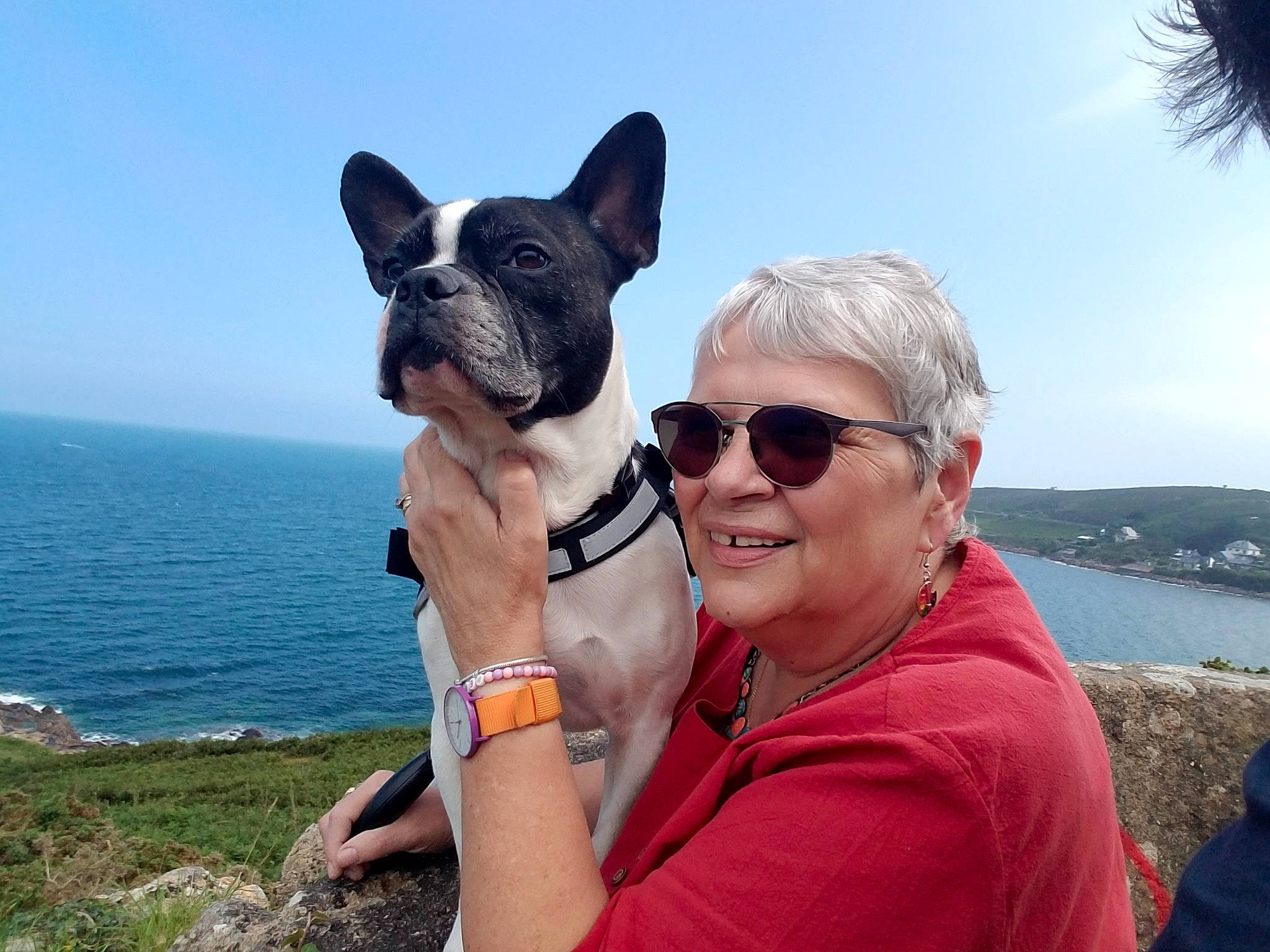 Marlone participe au concours pour gagner de l'argent avec cette photo : beach, carnivore, companion_dog, dog, dog_breed, event, eyewear, fun, gesture, glasses, goggles, happy, leisure, sky, smile, sunglasses, travel, vision_care, water, working_animal