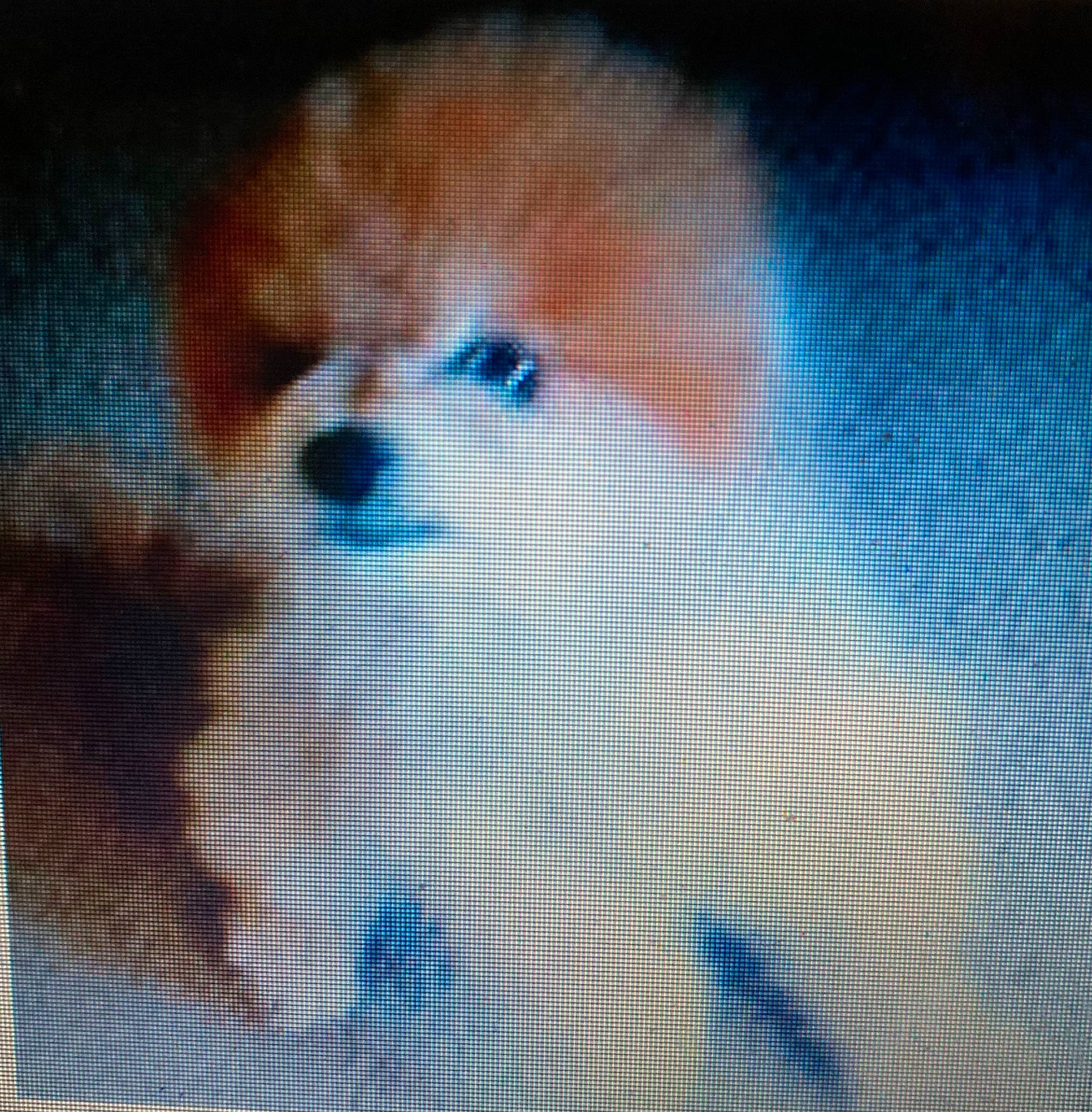 Foxy joined the competition — help win amazing prizes! art, azure, canidae, carnivore, companion_dog, dog, dog_breed, electric_blue, font, fur, mesh, net, nose, pattern, space, symmetry, toy_dog, whiskers