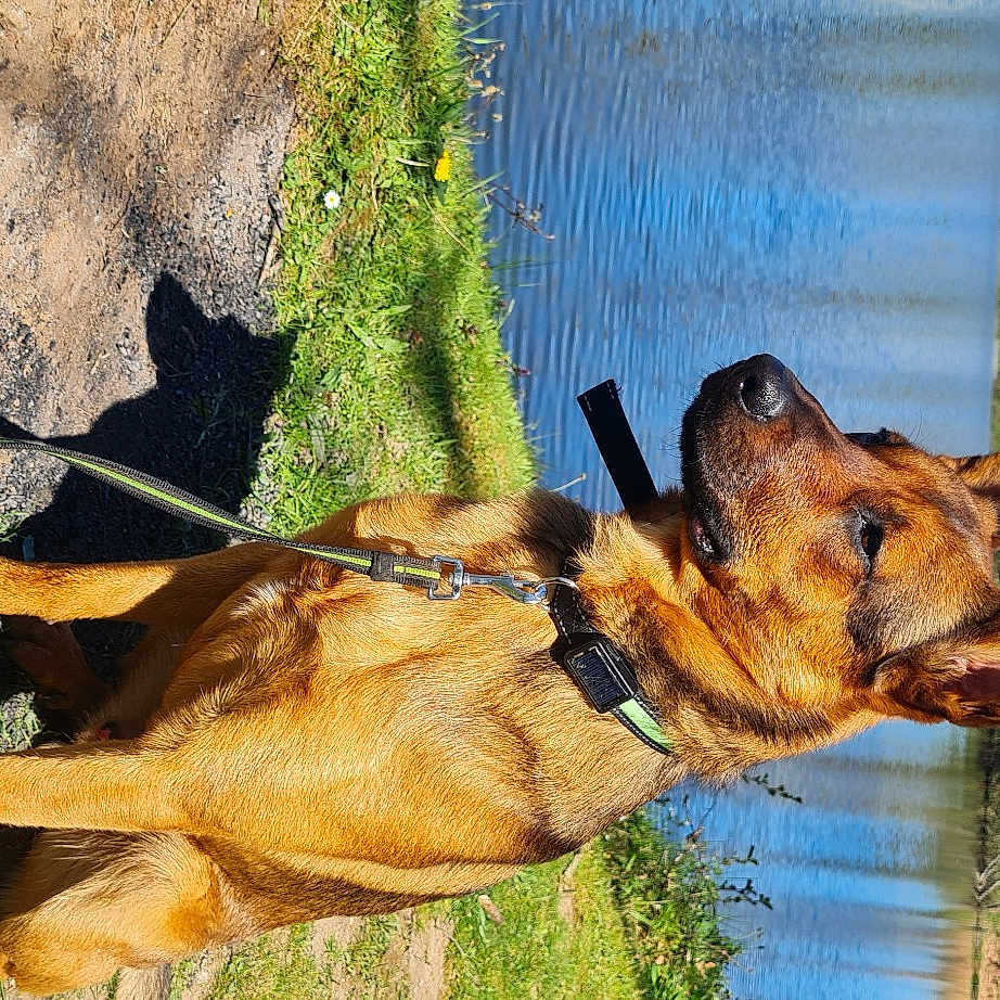 Rudy