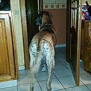 Chopin participe au concours pour gagner de l'argent avec cette photo :