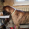 Chopin participe au concours pour gagner de l'argent avec cette photo :