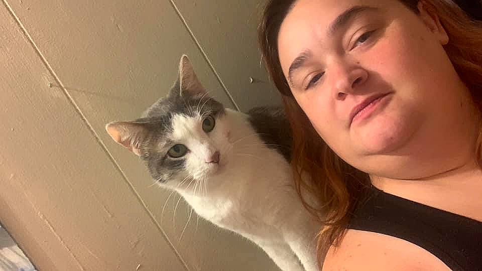 Gordo is registered to the contest to win money with this photo: beard, carnivore, cat, cheek, domestic_short_haired_cat, ear, eye, eyelash, fawn, felidae, fur, gesture, happy, iris, nose, small_to_medium_sized_cats, snout, tree, whiskers, window