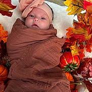 Luisa is registered to the contest to win money with this photo: baby, infant, swaddle, headband, pink_bow, autumn, fall_leaves, pumpkin, orange, brown, blanket, cute, portrait, outdoor, seasonal, decoration, child, wrapped, newborn, soft