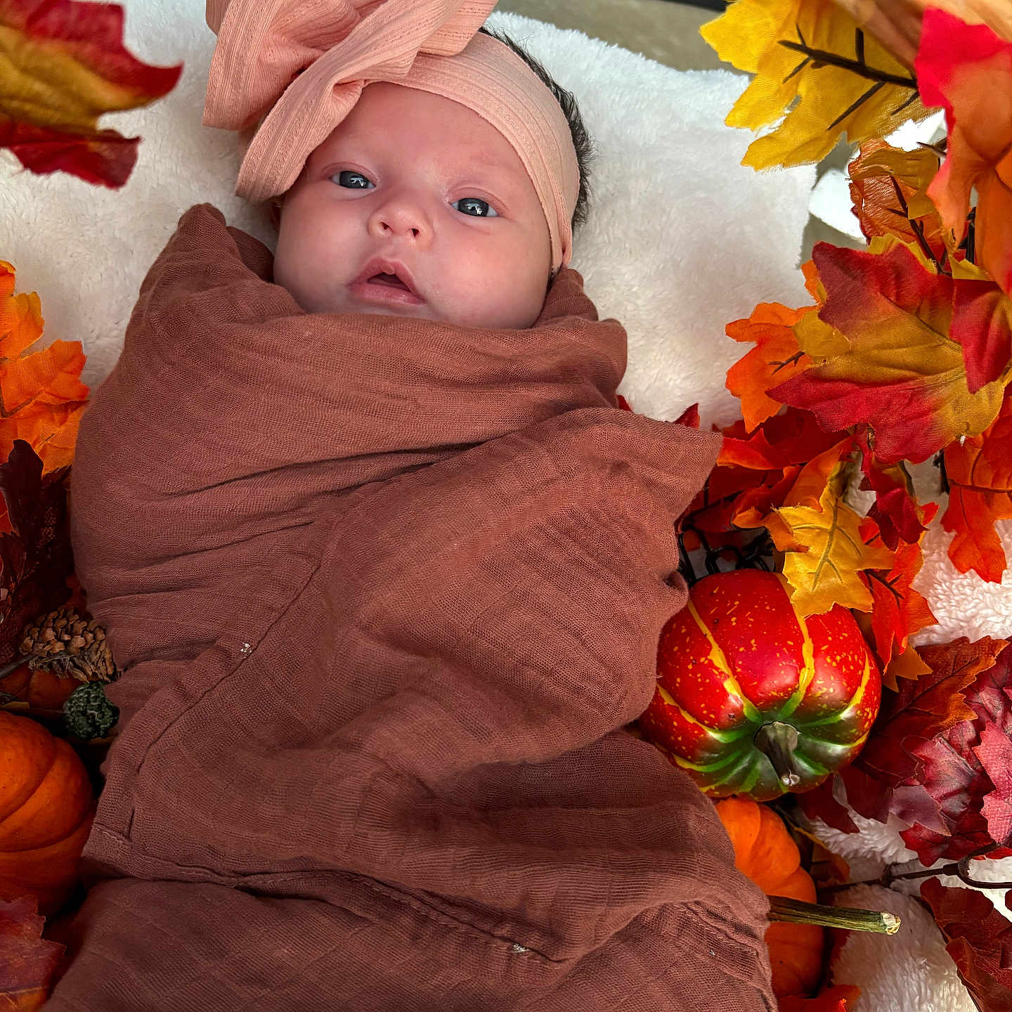 Luisa is registered to the contest to win money with this photo: autumn, baby, blanket, brown, child, cute, decoration, fall_leaves, headband, infant, newborn, orange, outdoor, pink_bow, portrait, pumpkin, seasonal, soft, swaddle, wrapped