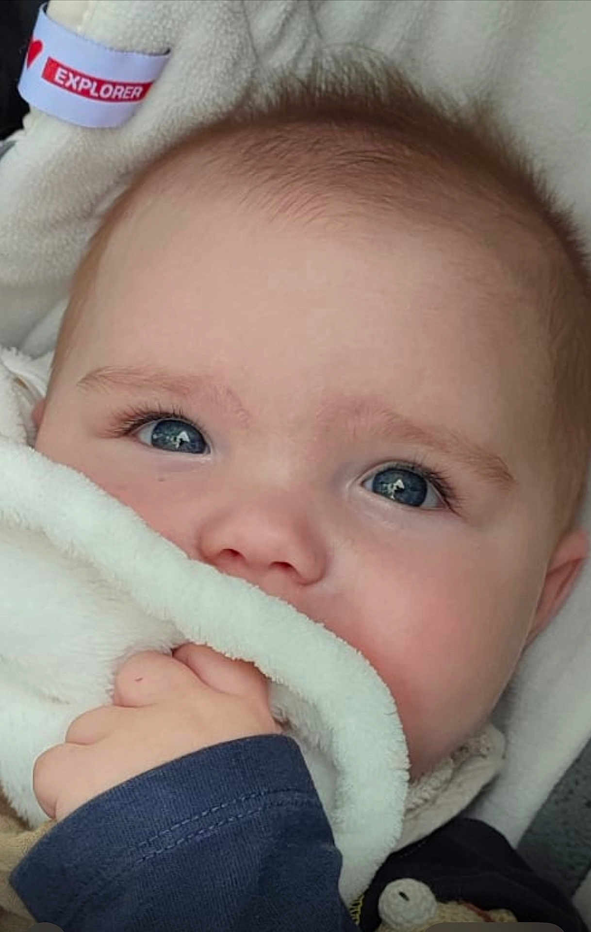 Josh a rejoint le concours — aidez-le/la à gagner de superbes lots ! baby, blanket, blue_eyes, child, close_up, comfort, cozy, cute, expression, eyelashes, face, hand, hooded_clothing, indoor, infant, portrait, skin, soft_texture, warm, young