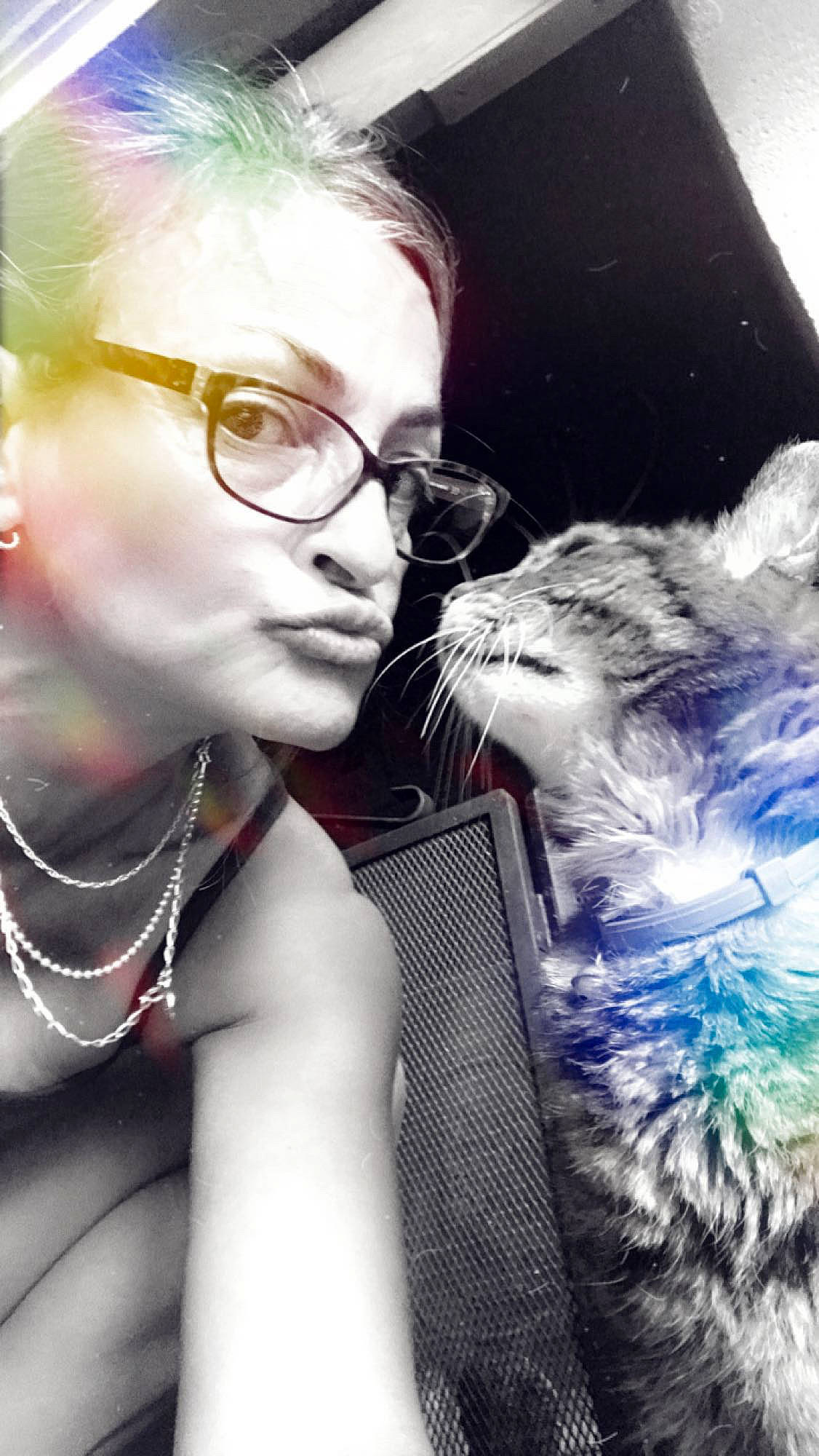 Gus a rejoint le concours — aidez-le/la à gagner de superbes lots ! beauty, black_hair, carnivore, cat, cool, eyelash, eyewear, facial_expression, felidae, flash_photography, formal_wear, fun, fur, gesture, glasses, happy, small_to_medium_sized_cats, style, vision_care, whiskers