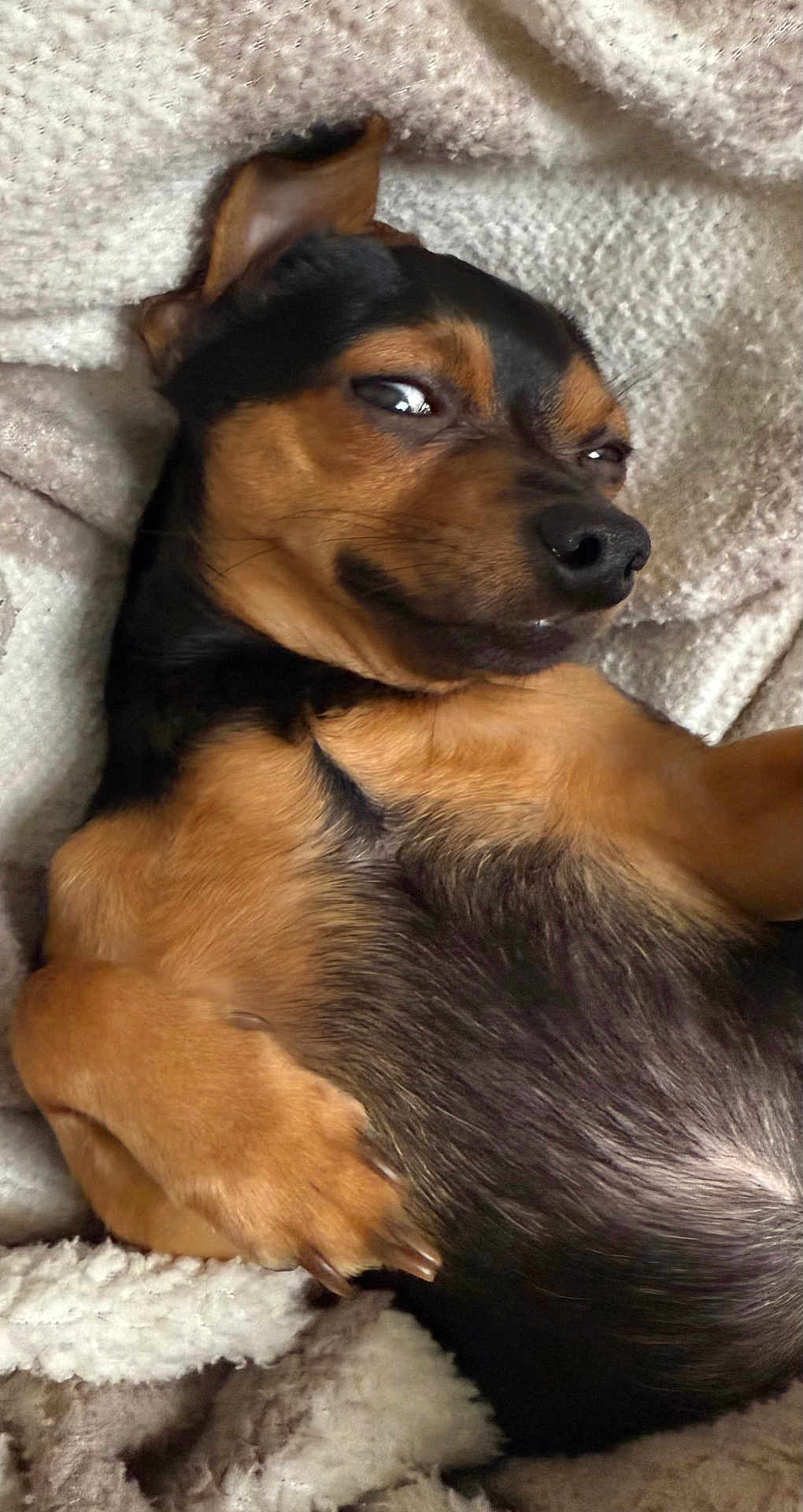 Nugget