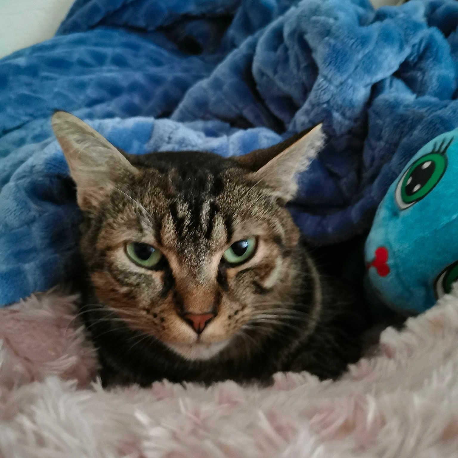 Prudence
