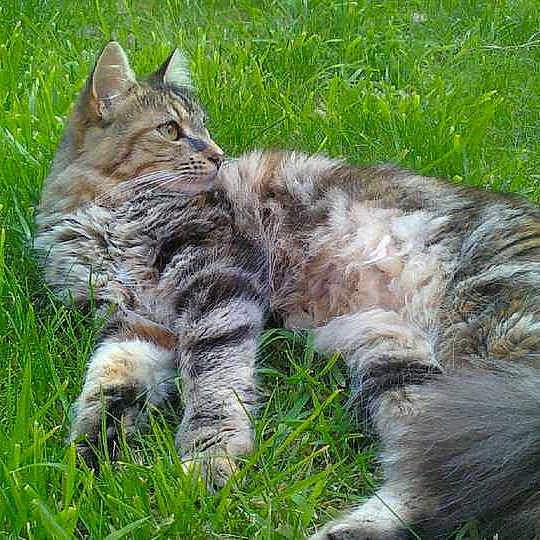 Rose joined the competition — help win amazing prizes!