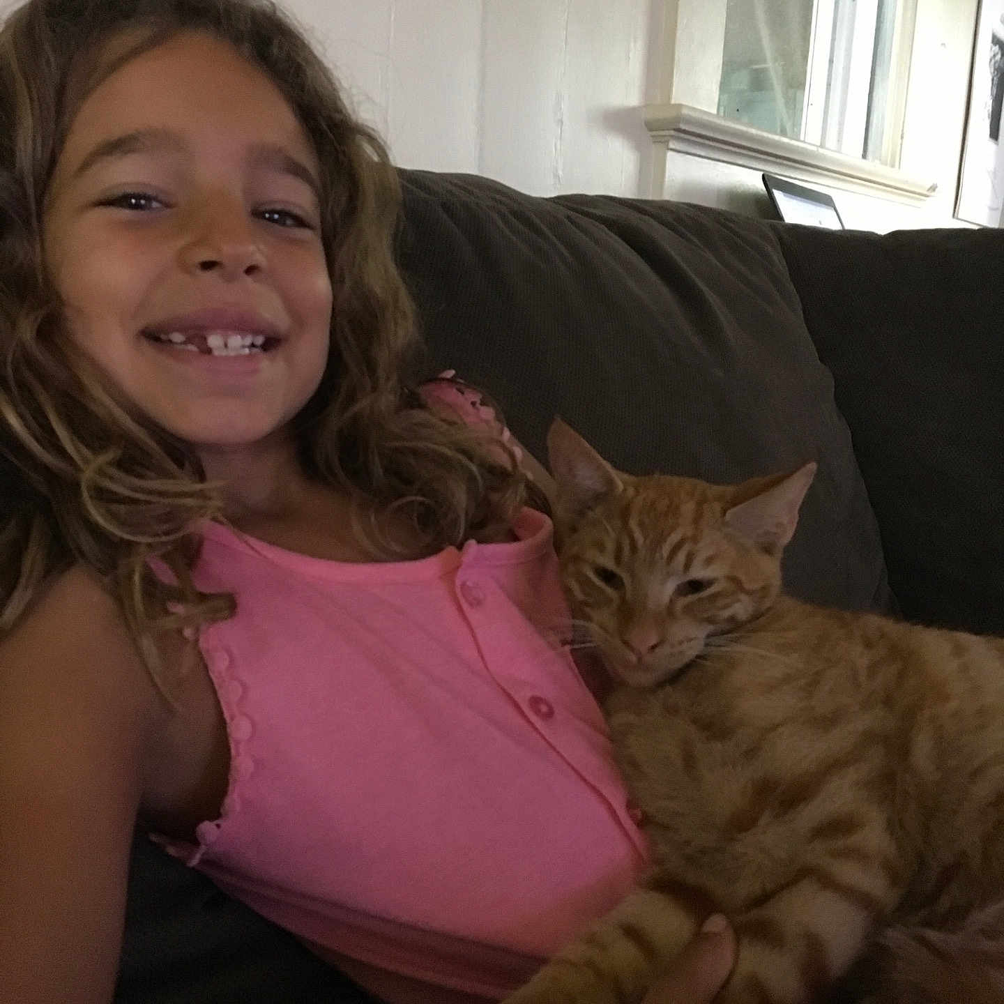 Ashlee is registered to the contest to win money with this photo: arm, carnivoran, cat, cat_like_mammal, ear, eye, finger, girl, kitten, mammal, small_to_medium_sized_cats, vertebrate, whiskers