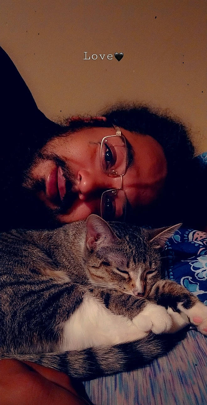 Sage joined the competition — help win amazing prizes! beard, beauty, carnivore, cat, comfort, cool, ear, eyelash, felidae, glasses, happy, iris, jaw, mammal, nose, selfie, small_to_medium_sized_cats, vertebrate, vision_care, whiskers