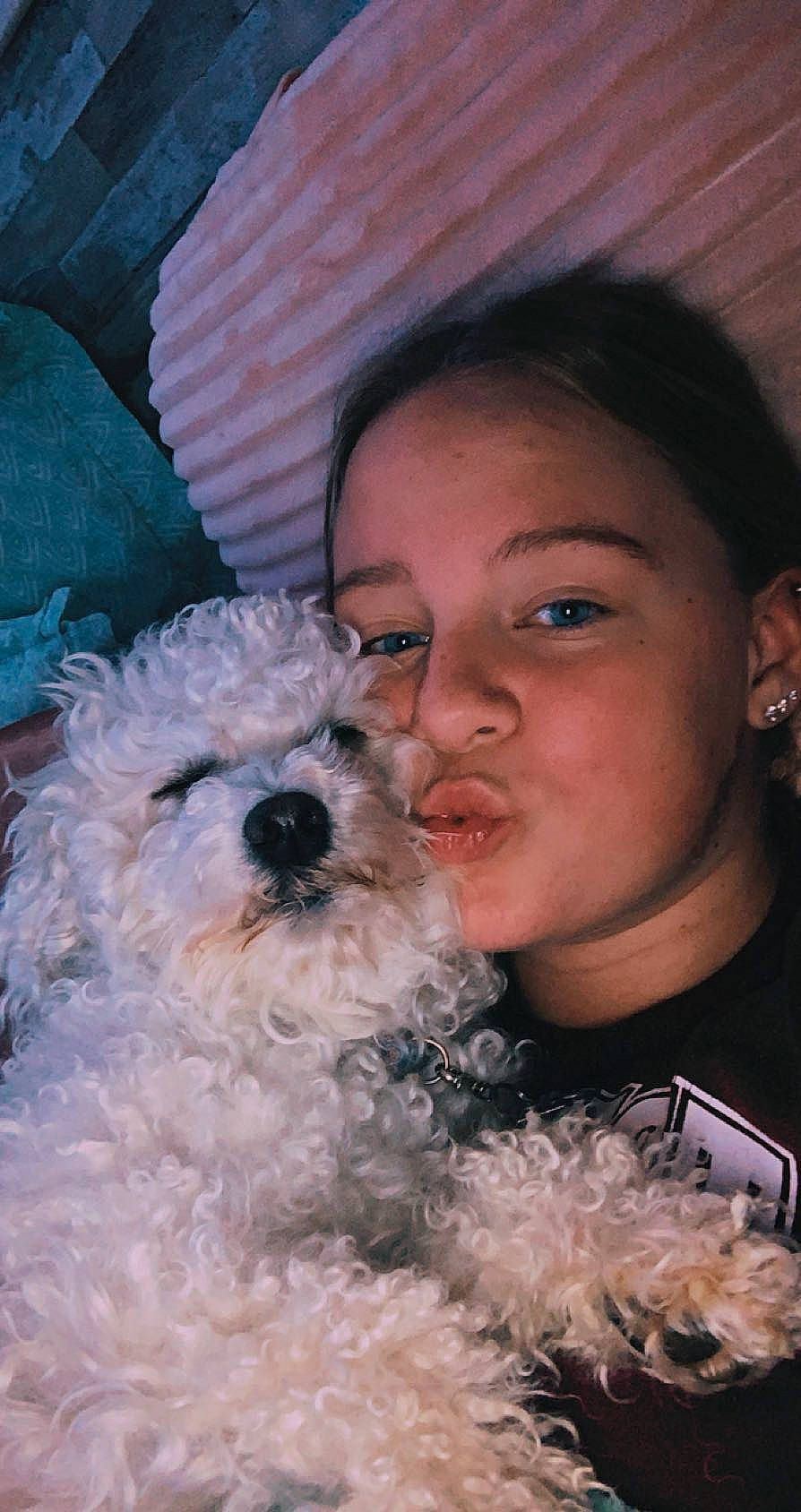 Rookie joined the competition — help win amazing prizes! bichon, black_hair, body_jewelry, carnivore, companion_dog, dog, dog_breed, eyebrow, maltepoo, mammal, non_sporting_group, poodle_crossbreed, puppy, selfie, shih_poo, small_terrier, terrier, toy_dog, vertebrate, water_dog