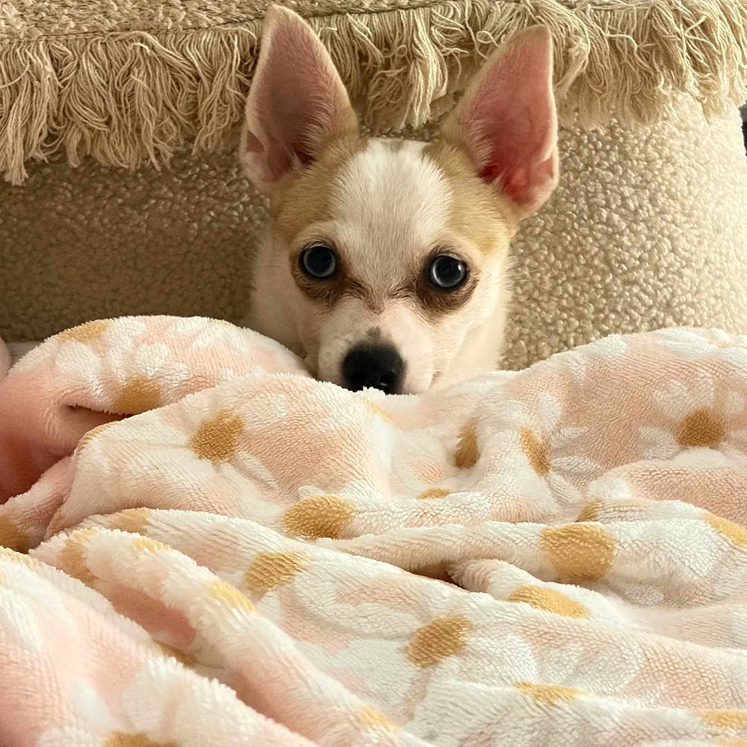 Betty