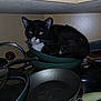 animal, black_cat, cabinet, cat, cozy, curious, cute, domestic, feline, household, indoor, kitchen, pans, pet, quiet, resting, sitting, stacked_pans, utensils, whiskers
